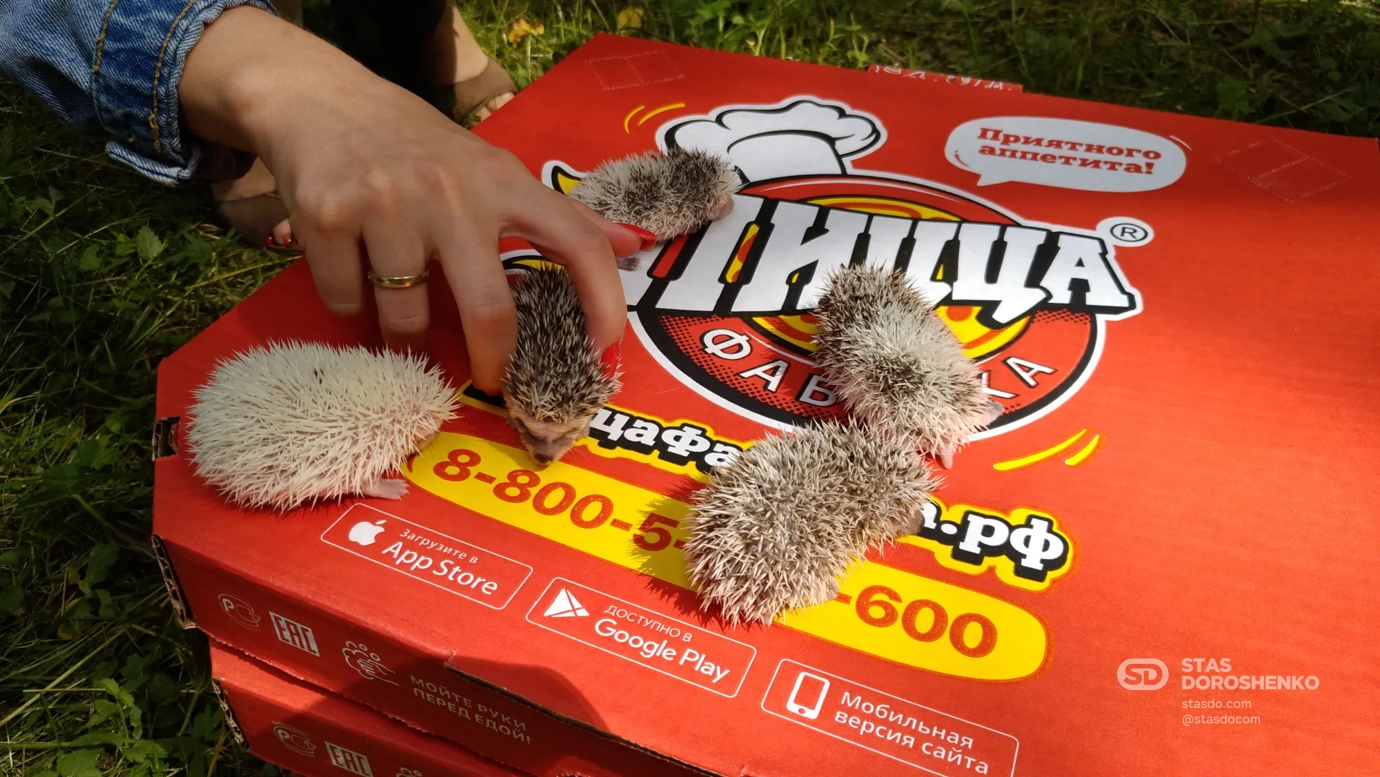 Пицца «Грибная» - рекламная кампания для ПиццаФабрики