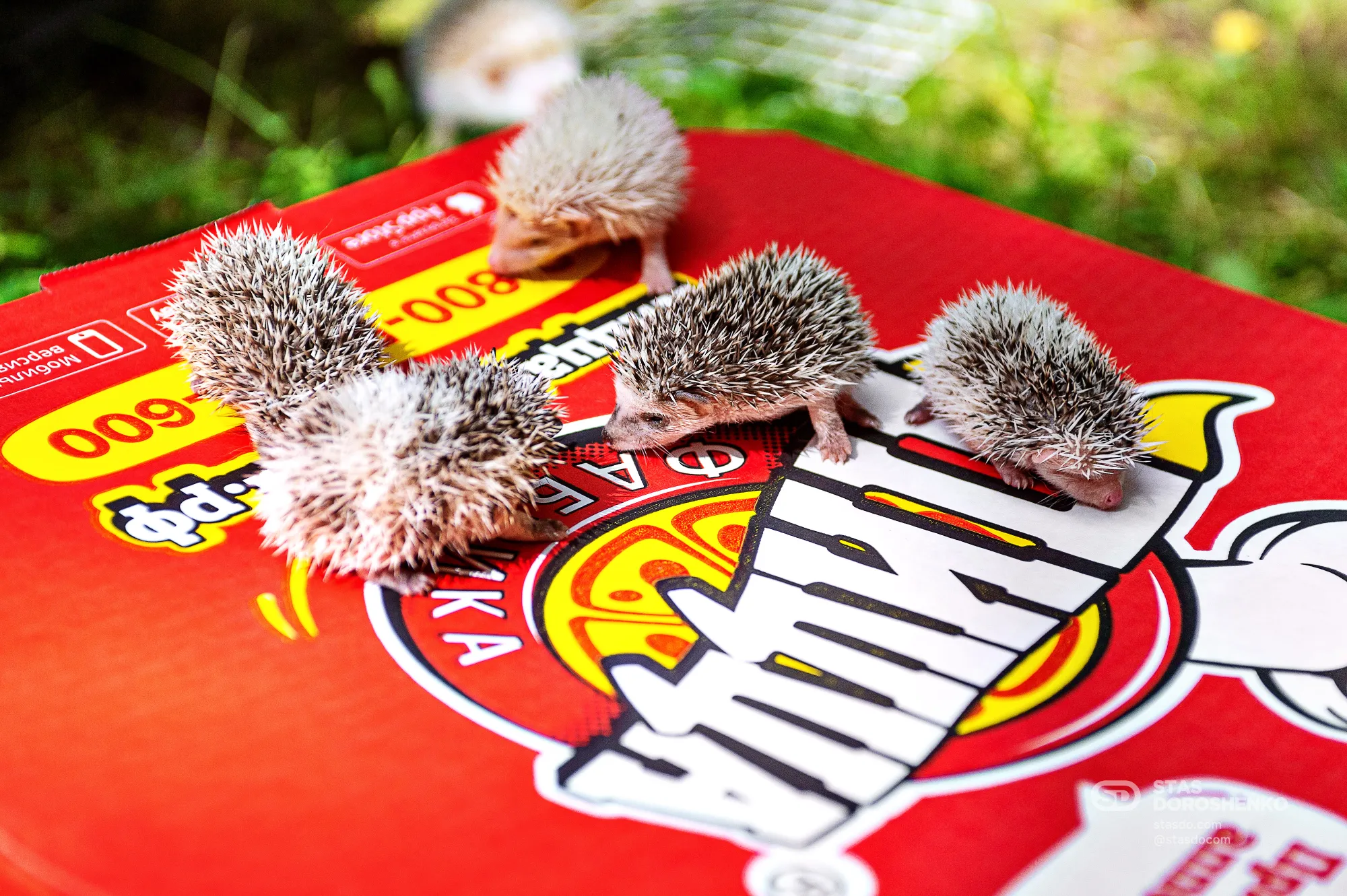 Пицца «Грибная» - рекламная кампания для ПиццаФабрики